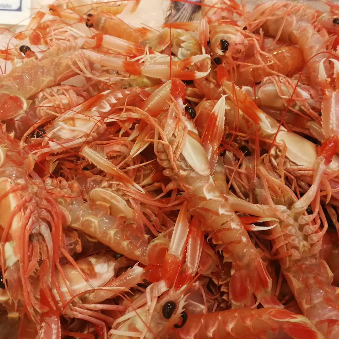 Scampi freschi